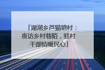 湖潮乡芦猫塘村：夜访乡村巷陌，驻村干部情暖民心